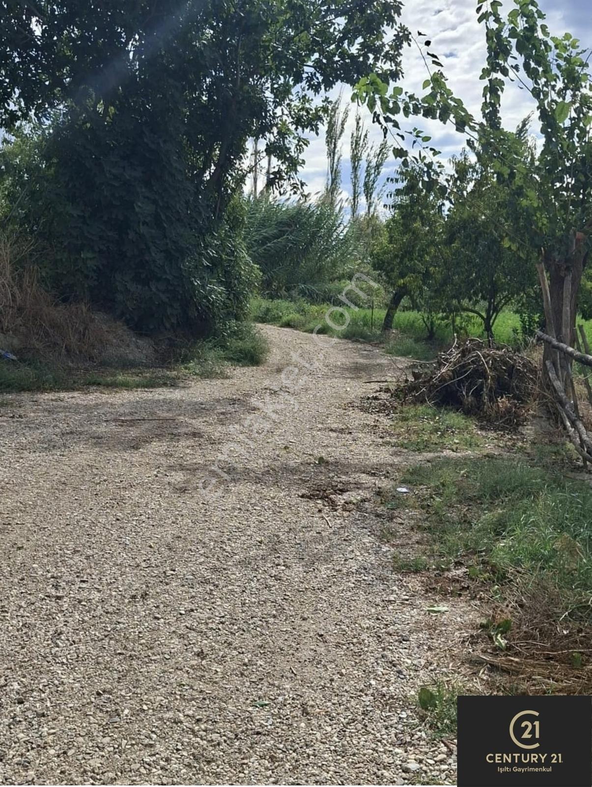 Aydın Pınarderede 3170 M² Tarla — fotoğraf 14