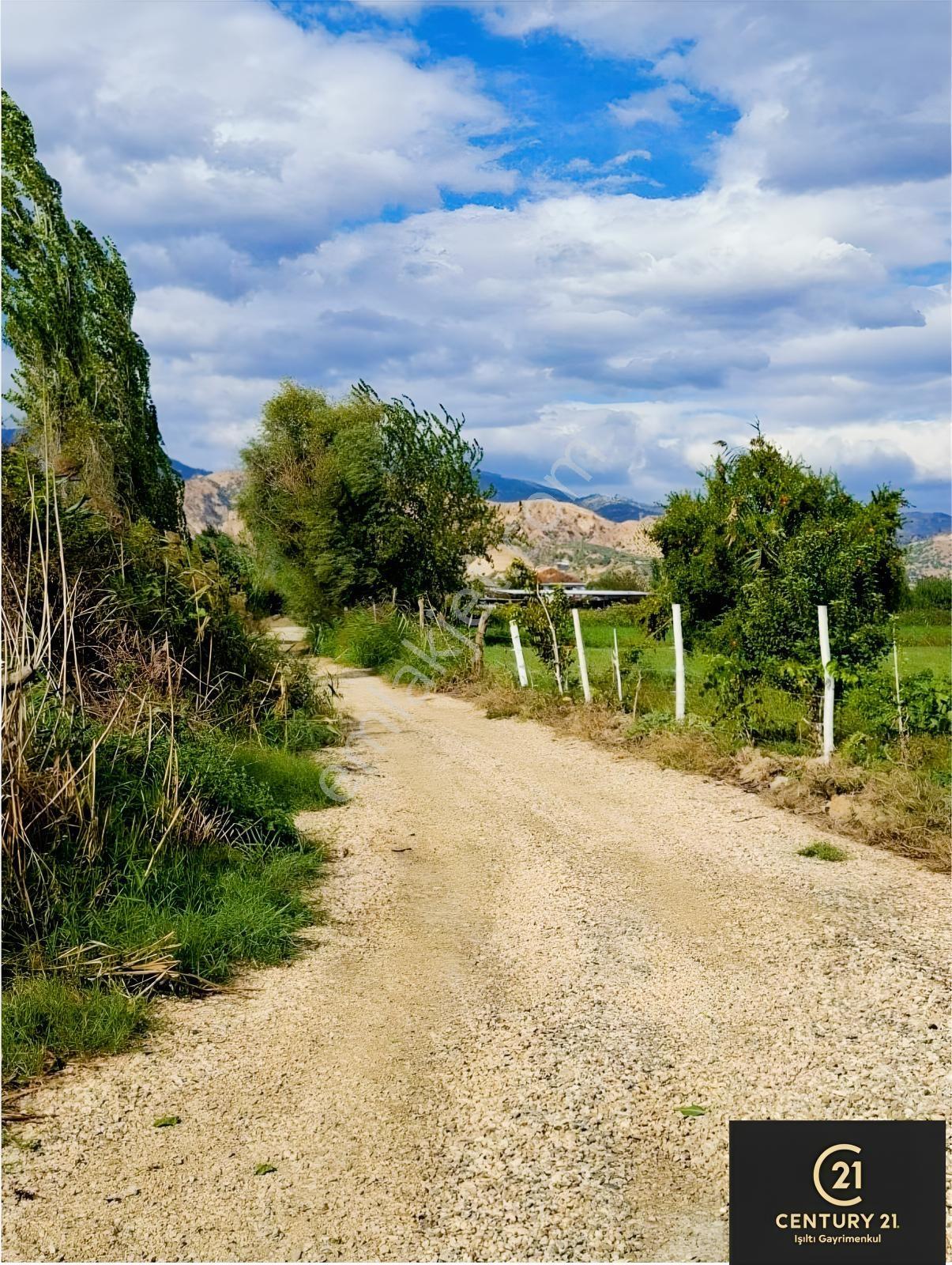 Aydın Pınarderede 3170 M² Tarla — fotoğraf 16