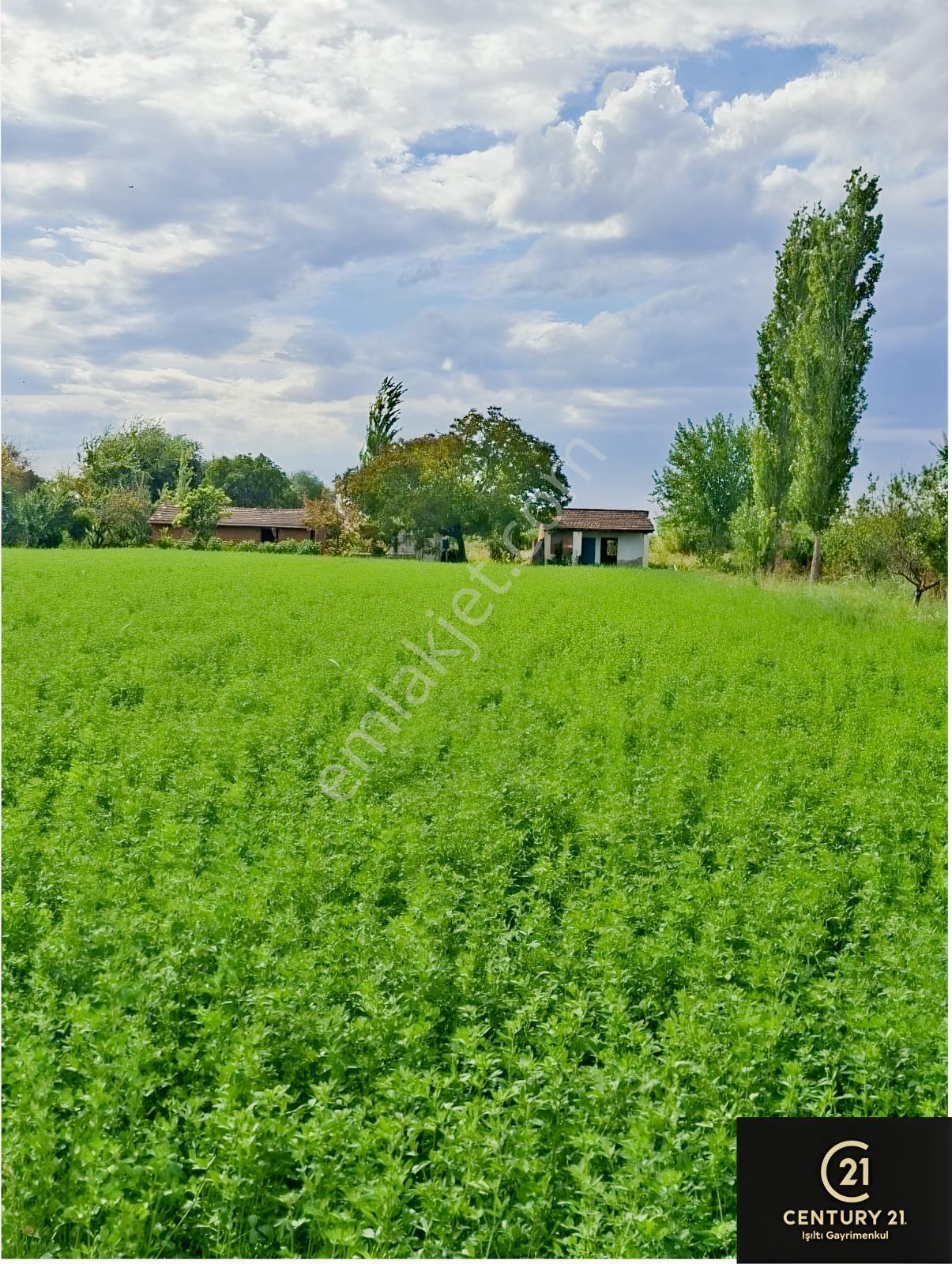 Aydın Pınarderede 3170 M² Tarla — fotoğraf 17
