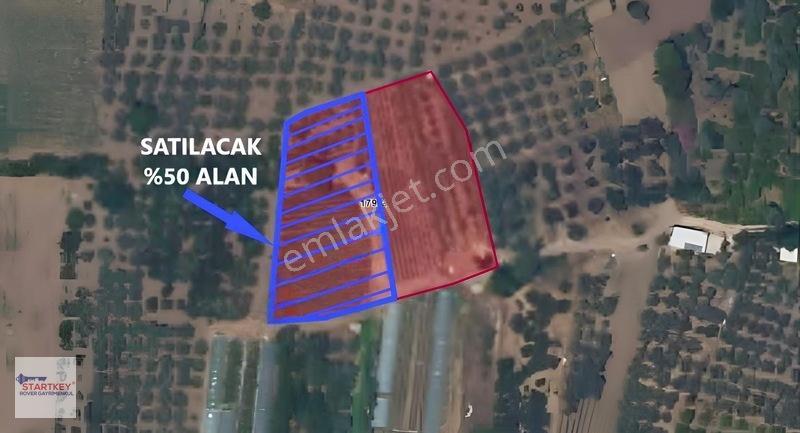 Menemen Görece Köyünde 2275 M² Satılık Zeytinli Tarla — fotoğraf 3