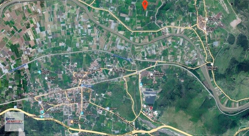 Menemen Görece Köyünde 2275 M² Satılık Zeytinli Tarla — fotoğraf 6