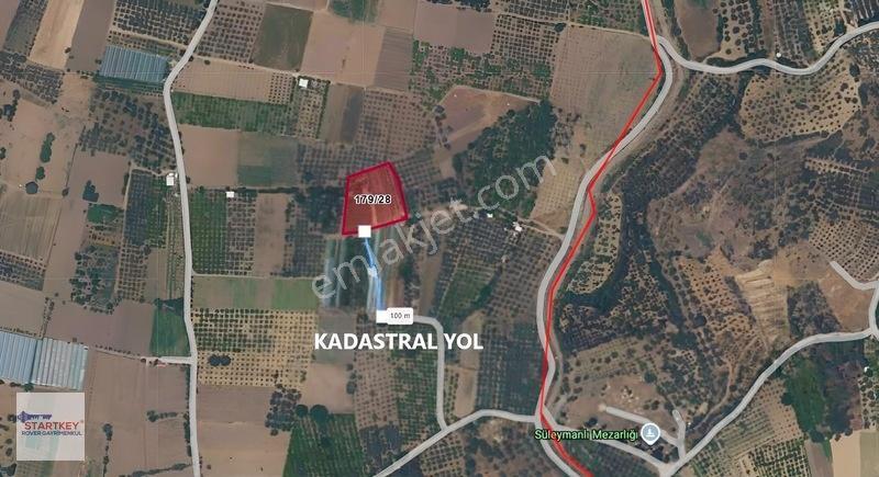 Menemen Görece Köyünde 2275 M² Satılık Zeytinli Tarla — fotoğraf 7