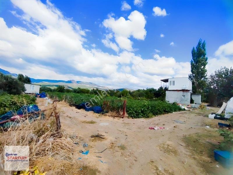 Menemen Görece Köyünde 2275 M² Satılık Zeytinli Tarla — fotoğraf 12