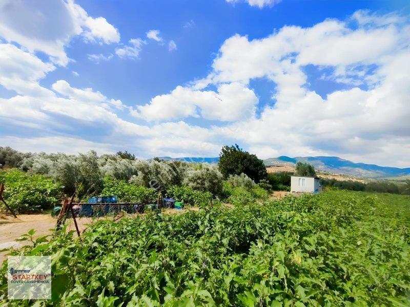 Menemen Görece Köyünde 2275 M² Satılık Zeytinli Tarla — fotoğraf 13