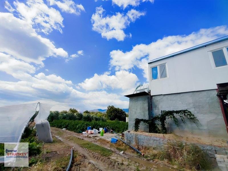 Menemen Görece Köyünde 2275 M² Satılık Zeytinli Tarla — fotoğraf 18