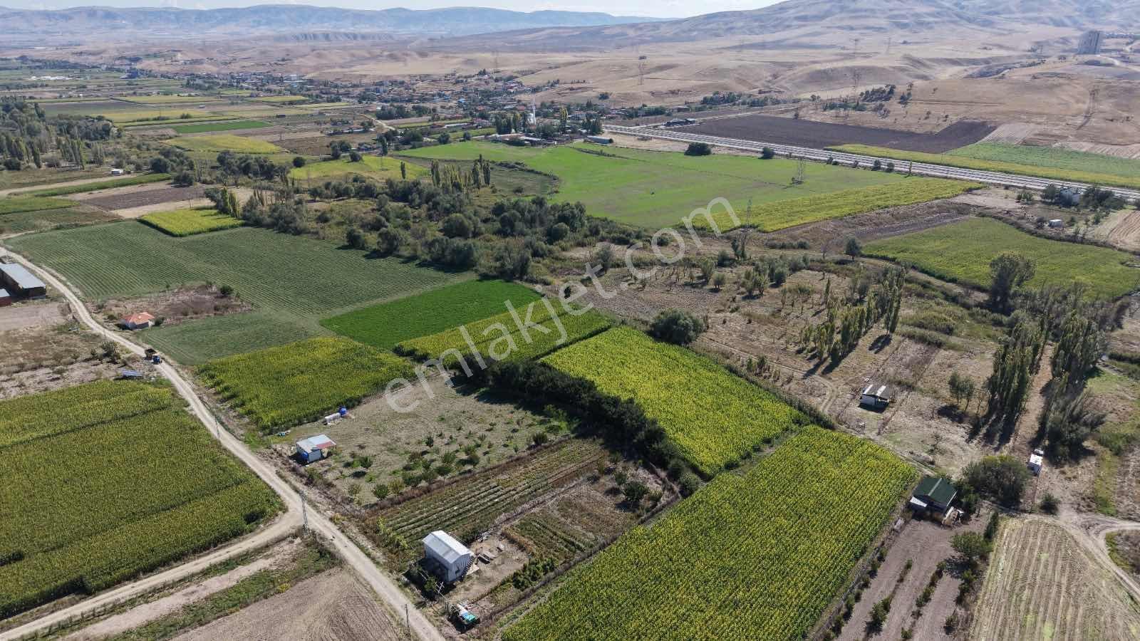 Beypazarı Yoluna Yakın 3.059 M2 Tek Tapu Sulu Arsa — fotoğraf 2