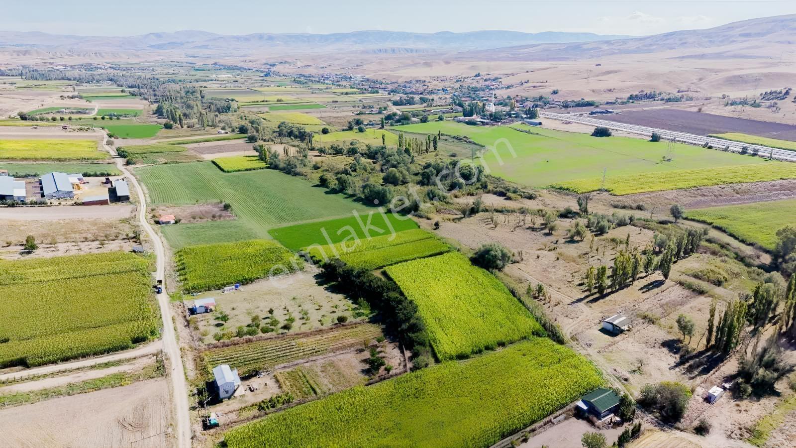 Beypazarı Yoluna Yakın 3.059 M2 Tek Tapu Sulu Arsa — fotoğraf 3