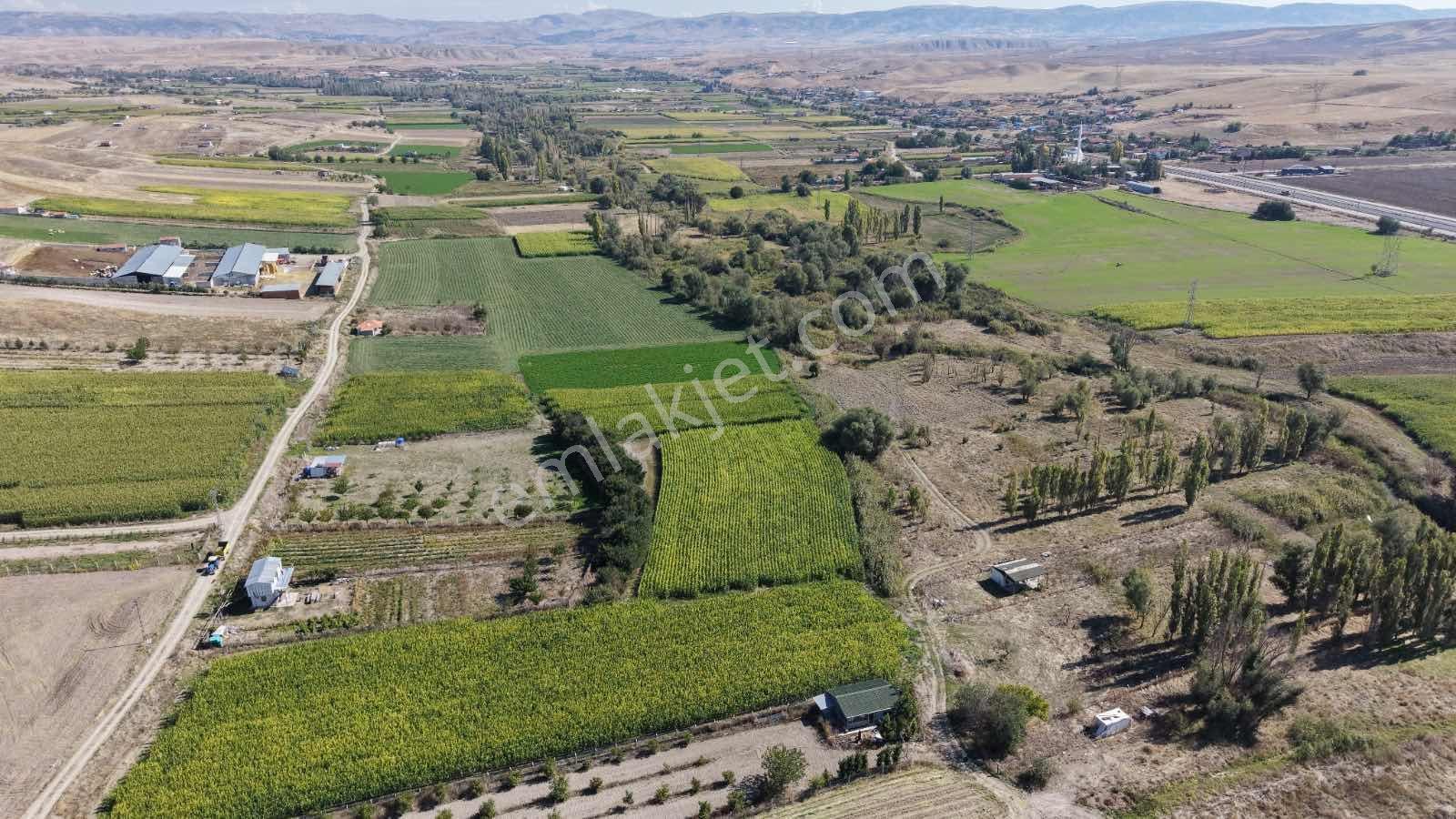 Beypazarı Yoluna Yakın 3.059 M2 Tek Tapu Sulu Arsa — fotoğraf 4