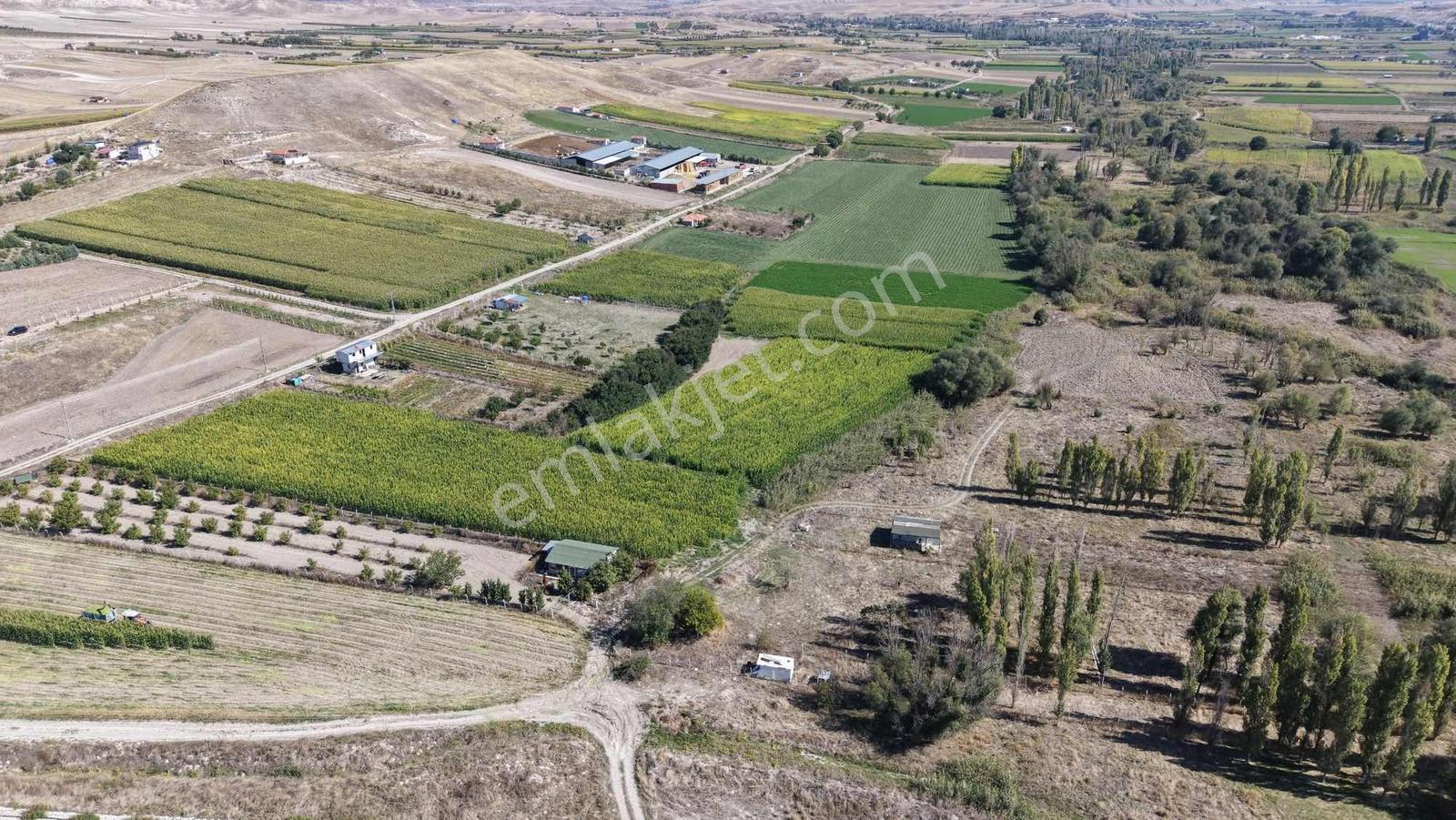 Beypazarı Yoluna Yakın 3.059 M2 Tek Tapu Sulu Arsa — fotoğraf 5