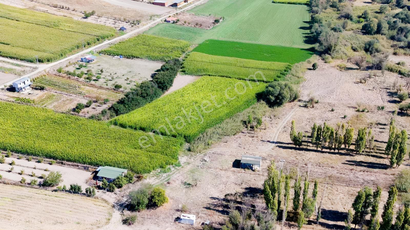 Beypazarı Yoluna Yakın 3.059 M2 Tek Tapu Sulu Arsa — fotoğraf 6
