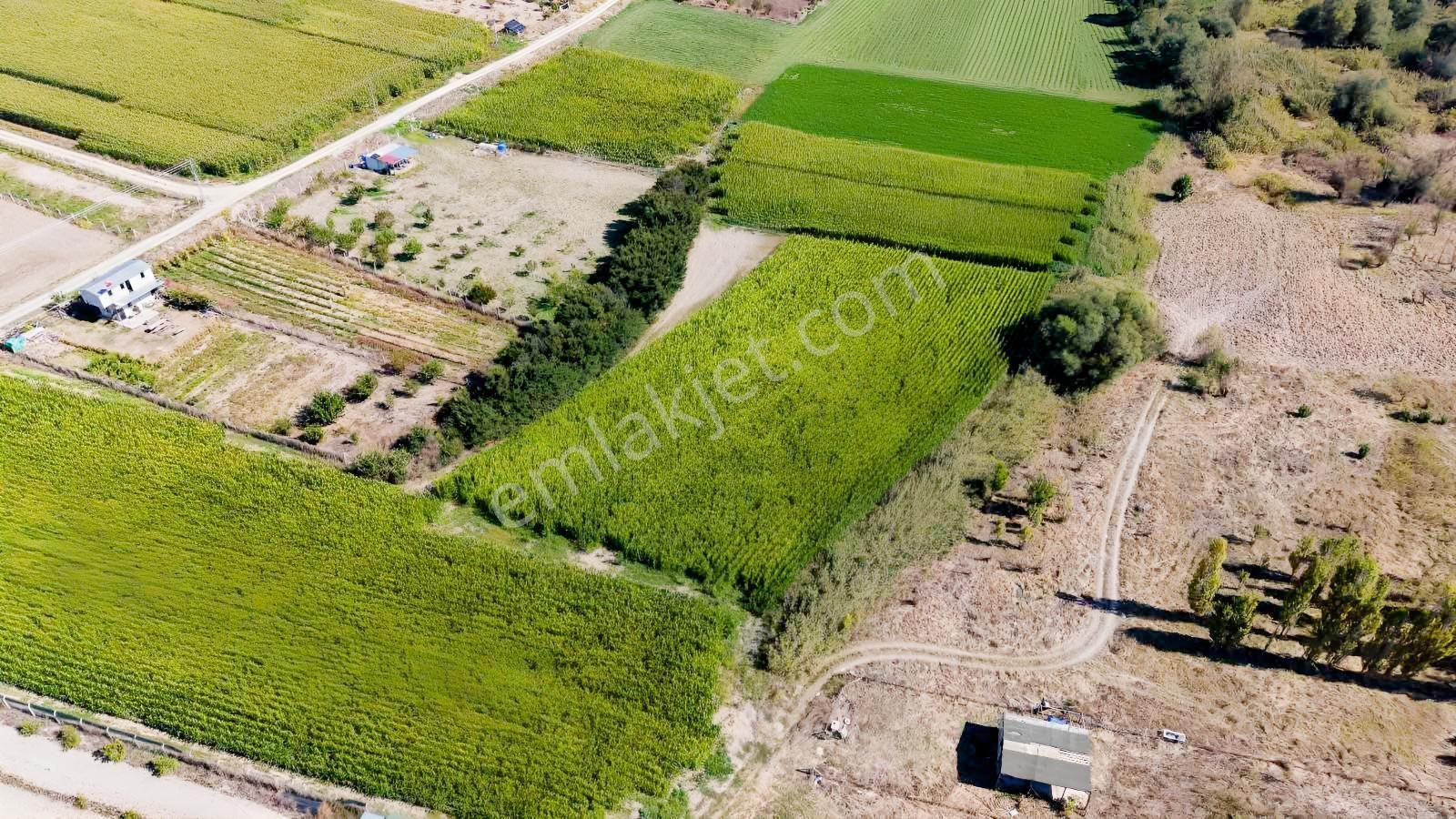 Beypazarı Yoluna Yakın 3.059 M2 Tek Tapu Sulu Arsa — fotoğraf 7
