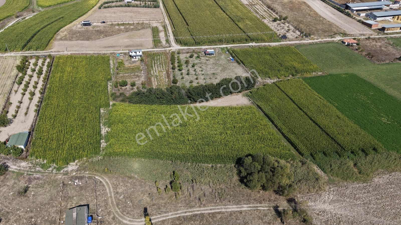 Beypazarı Yoluna Yakın 3.059 M2 Tek Tapu Sulu Arsa — fotoğraf 8