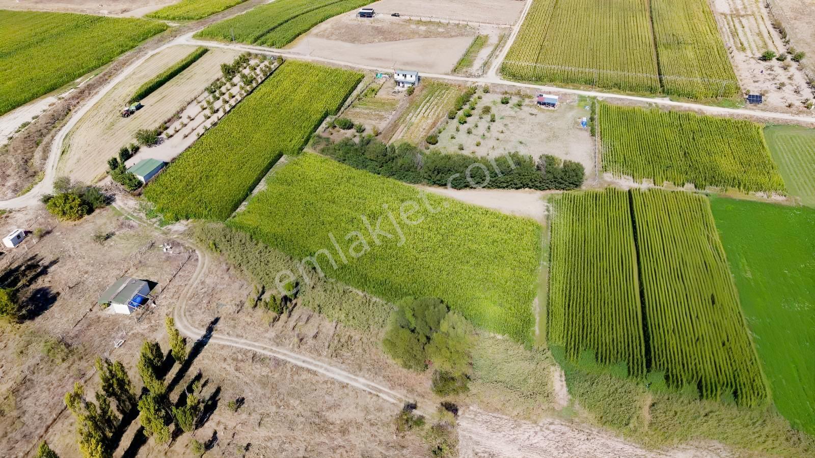 Beypazarı Yoluna Yakın 3.059 M2 Tek Tapu Sulu Arsa — fotoğraf 9