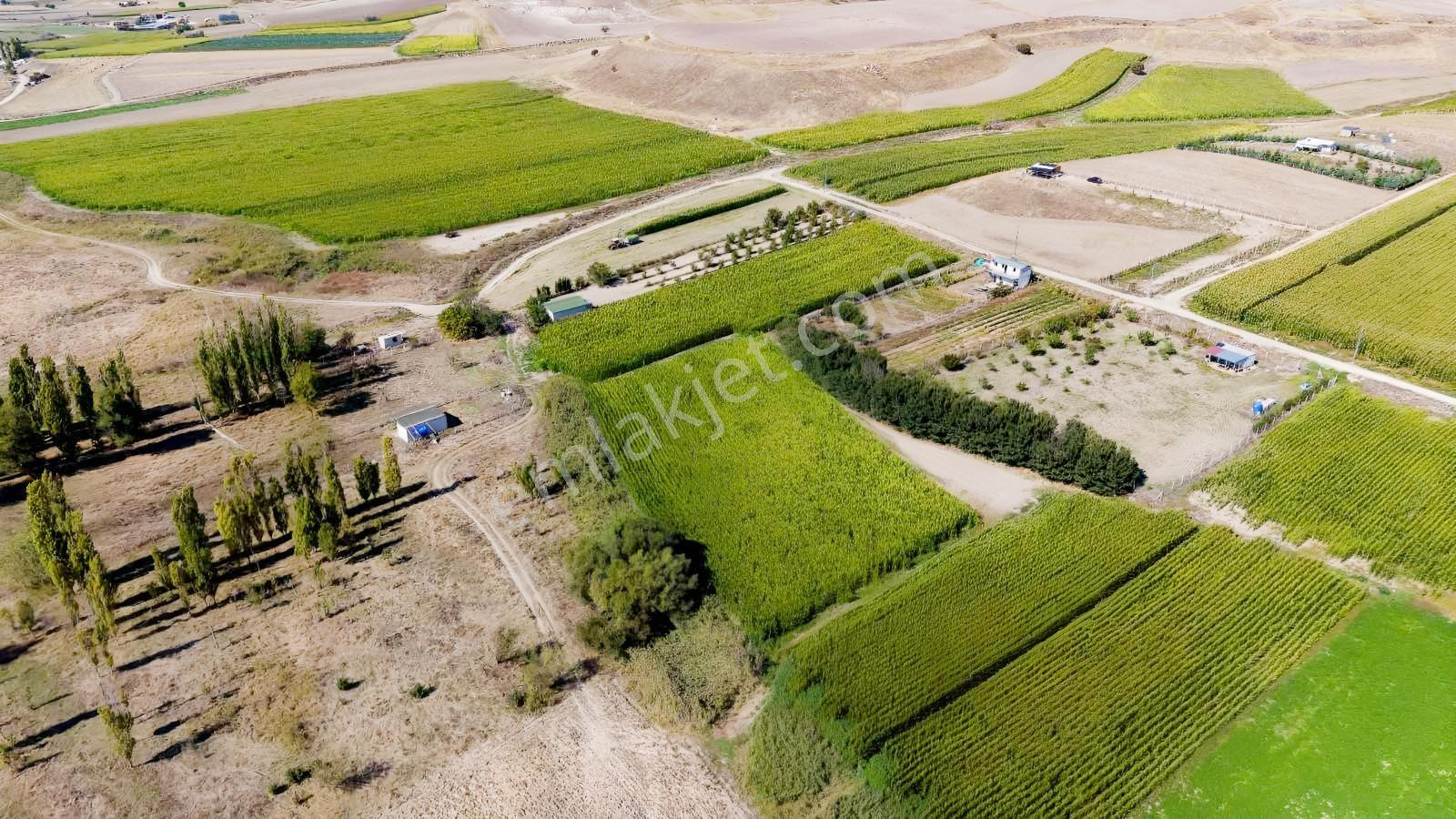 Beypazarı Yoluna Yakın 3.059 M2 Tek Tapu Sulu Arsa — fotoğraf 10