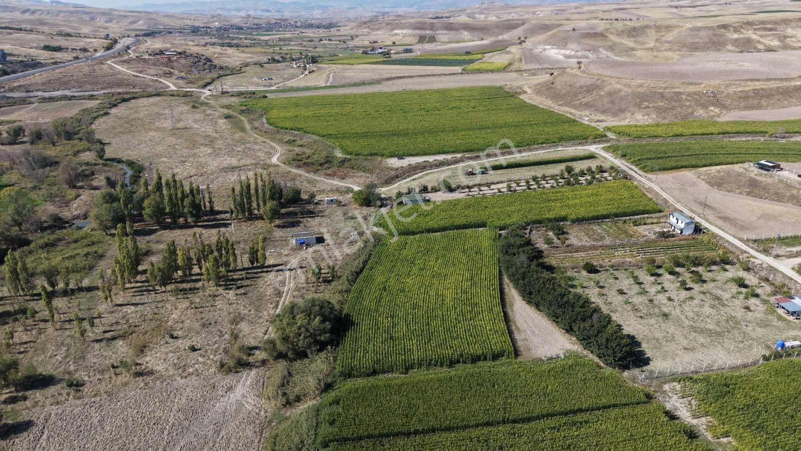 Beypazarı Yoluna Yakın 3.059 M2 Tek Tapu Sulu Arsa — fotoğraf 11