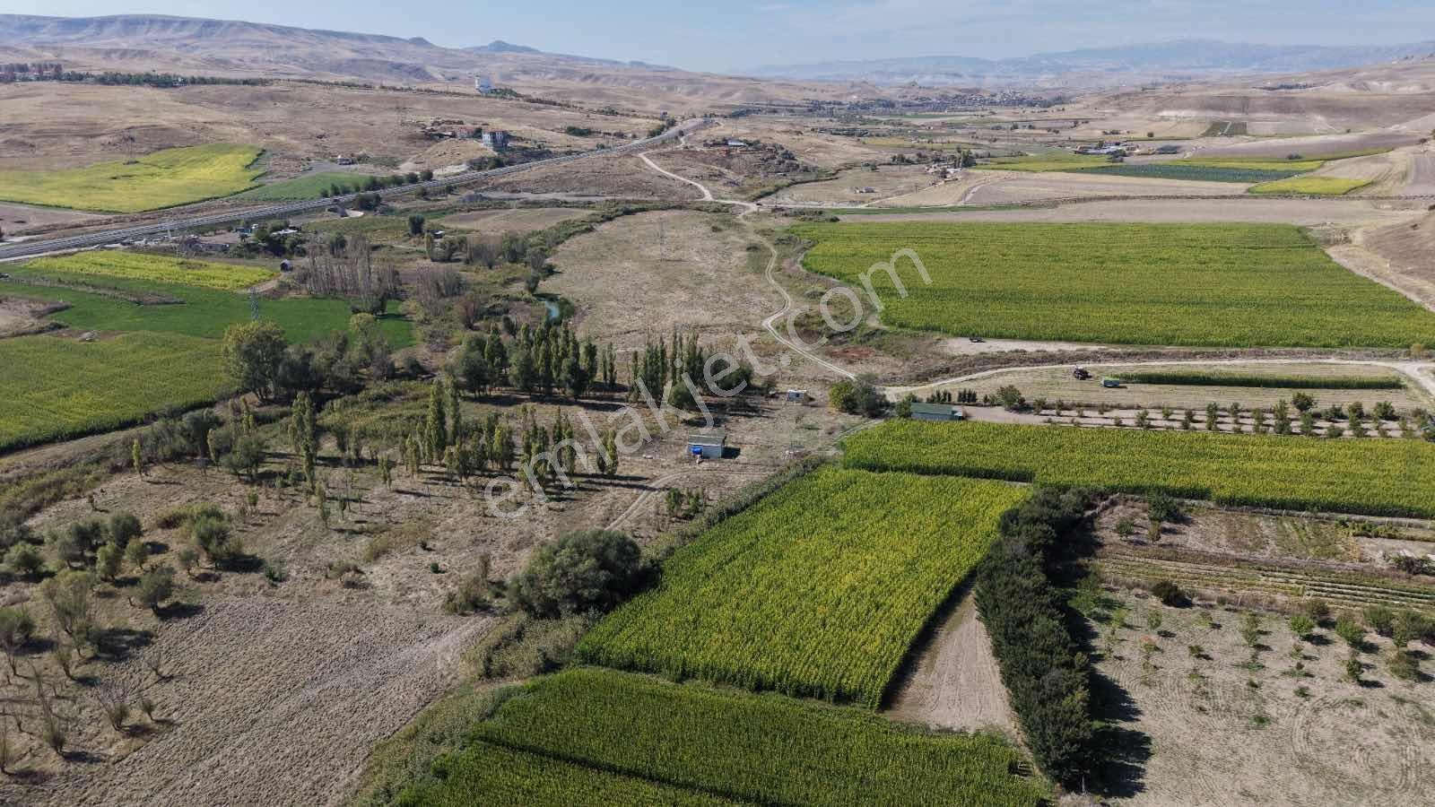 Beypazarı Yoluna Yakın 3.059 M2 Tek Tapu Sulu Arsa — fotoğraf 12