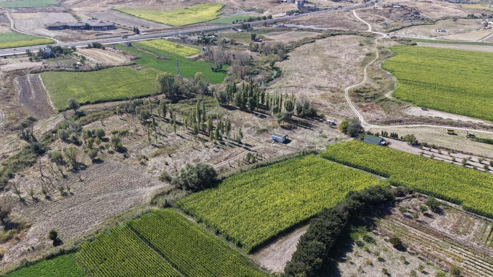 Beypazarı Yoluna Yakın 3.059 M2 Tek Tapu Sulu Arsa — fotoğraf 13