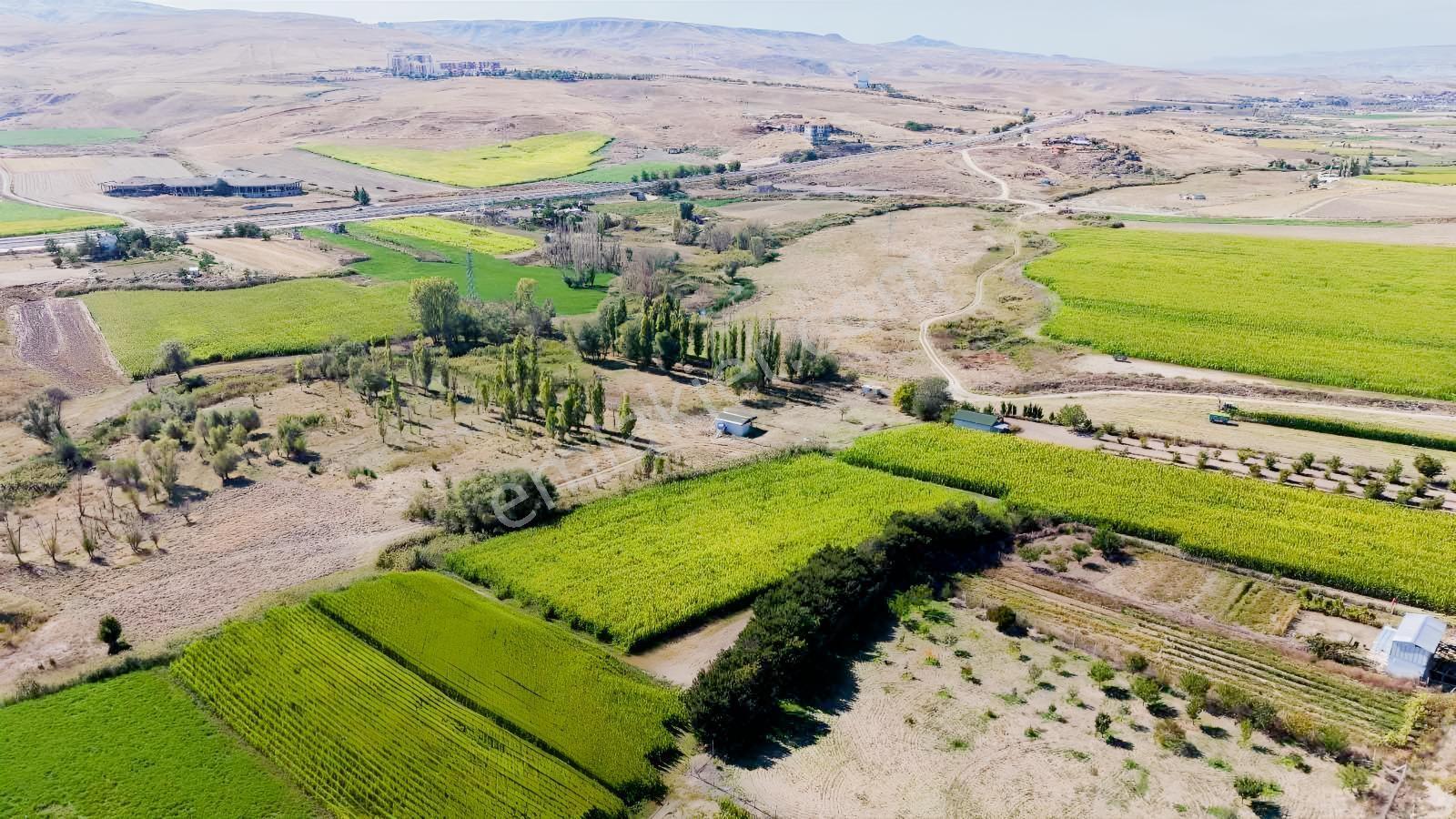 Beypazarı Yoluna Yakın 3.059 M2 Tek Tapu Sulu Arsa — fotoğraf 14