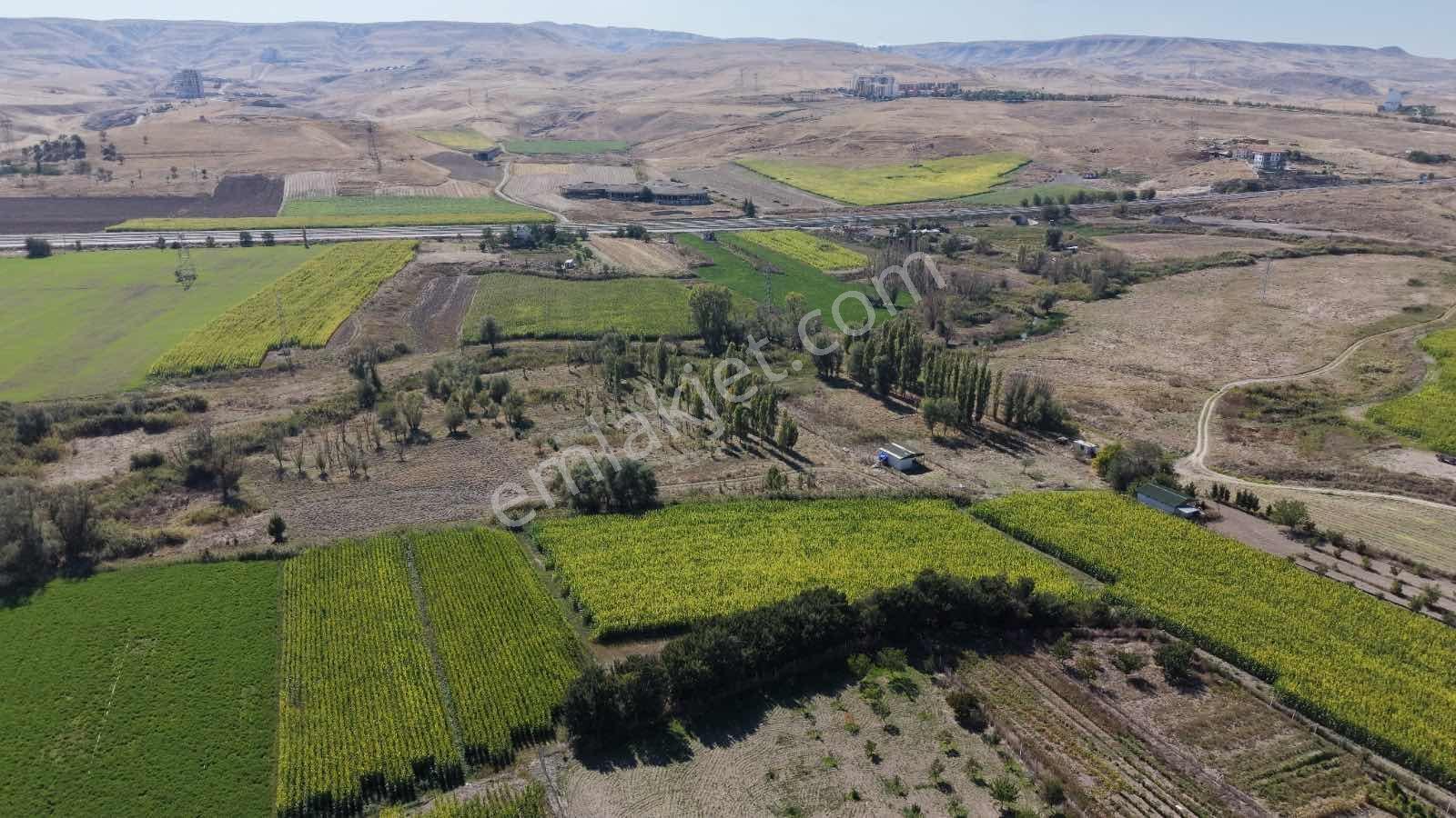 Beypazarı Yoluna Yakın 3.059 M2 Tek Tapu Sulu Arsa — fotoğraf 15