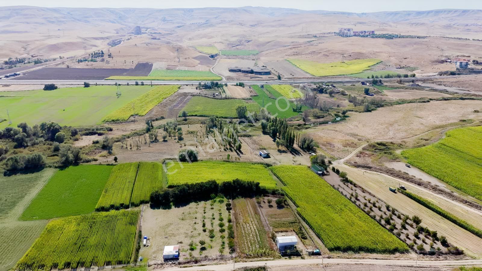 Beypazarı Yoluna Yakın 3.059 M2 Tek Tapu Sulu Arsa — fotoğraf 16