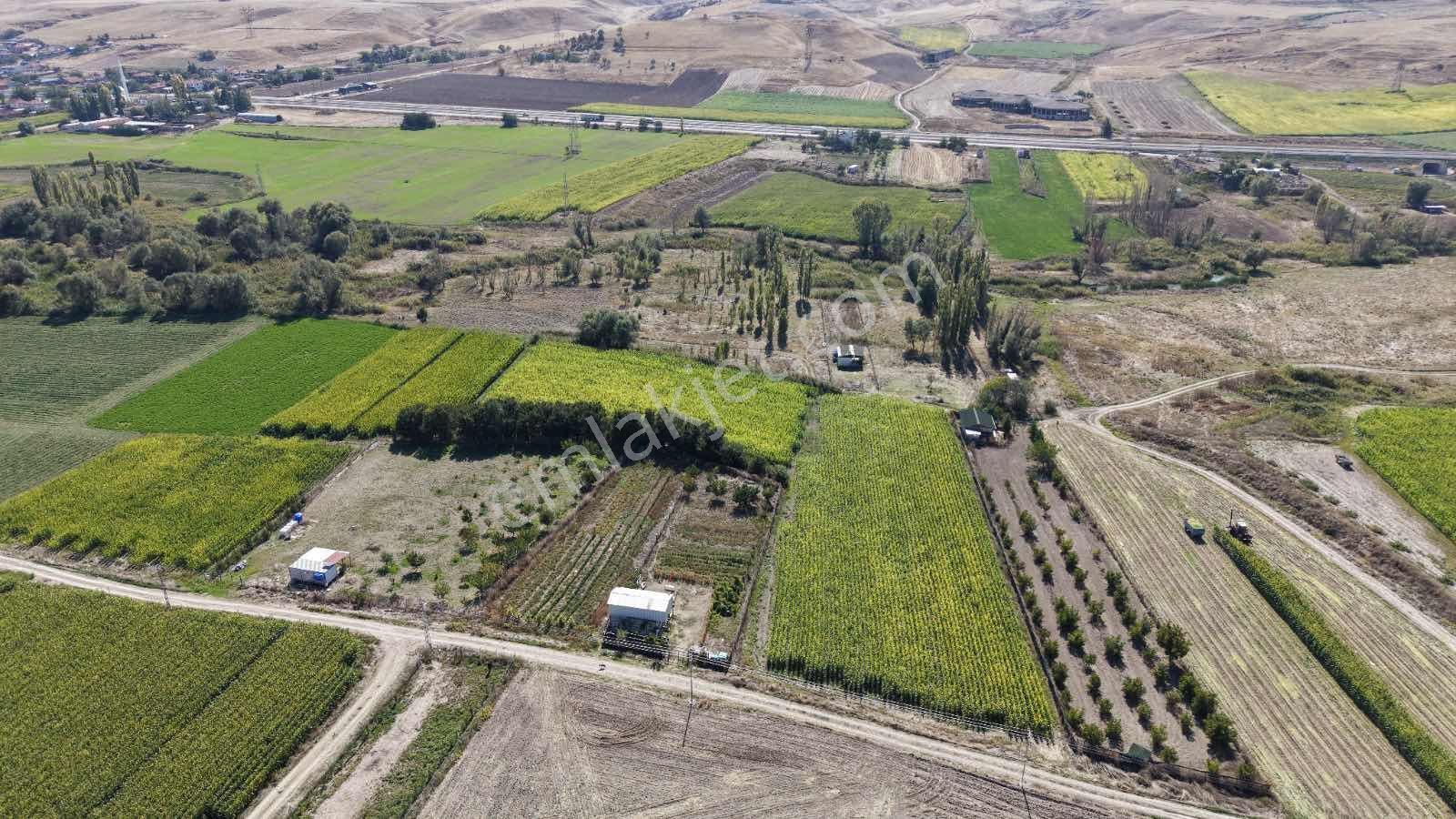 Beypazarı Yoluna Yakın 3.059 M2 Tek Tapu Sulu Arsa — fotoğraf 17