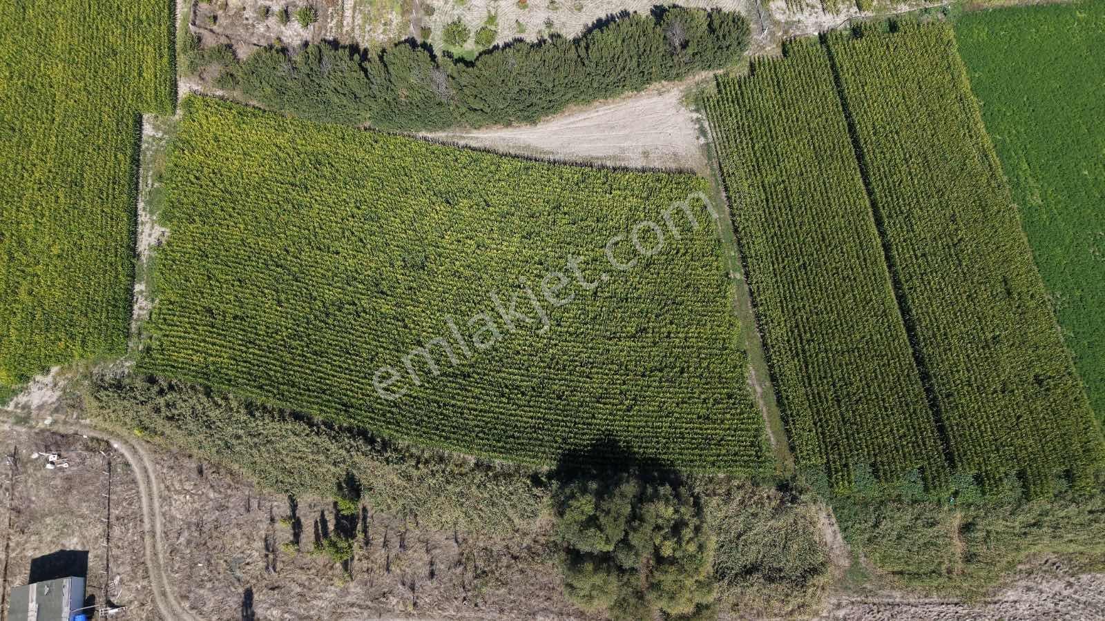 Beypazarı Yoluna Yakın 3.059 M2 Tek Tapu Sulu Arsa — fotoğraf 18