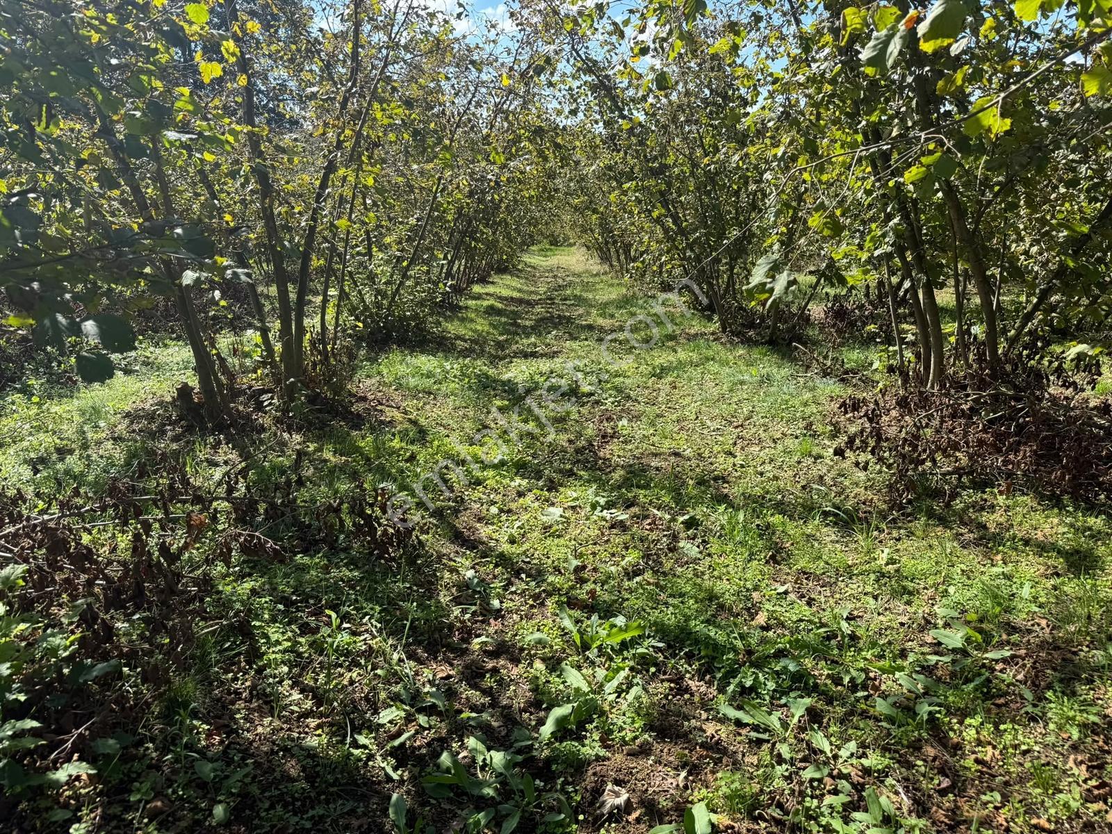 Kaynarca Kayacıkta 805m2 Resmi Yollu Fırsat — fotoğraf 18