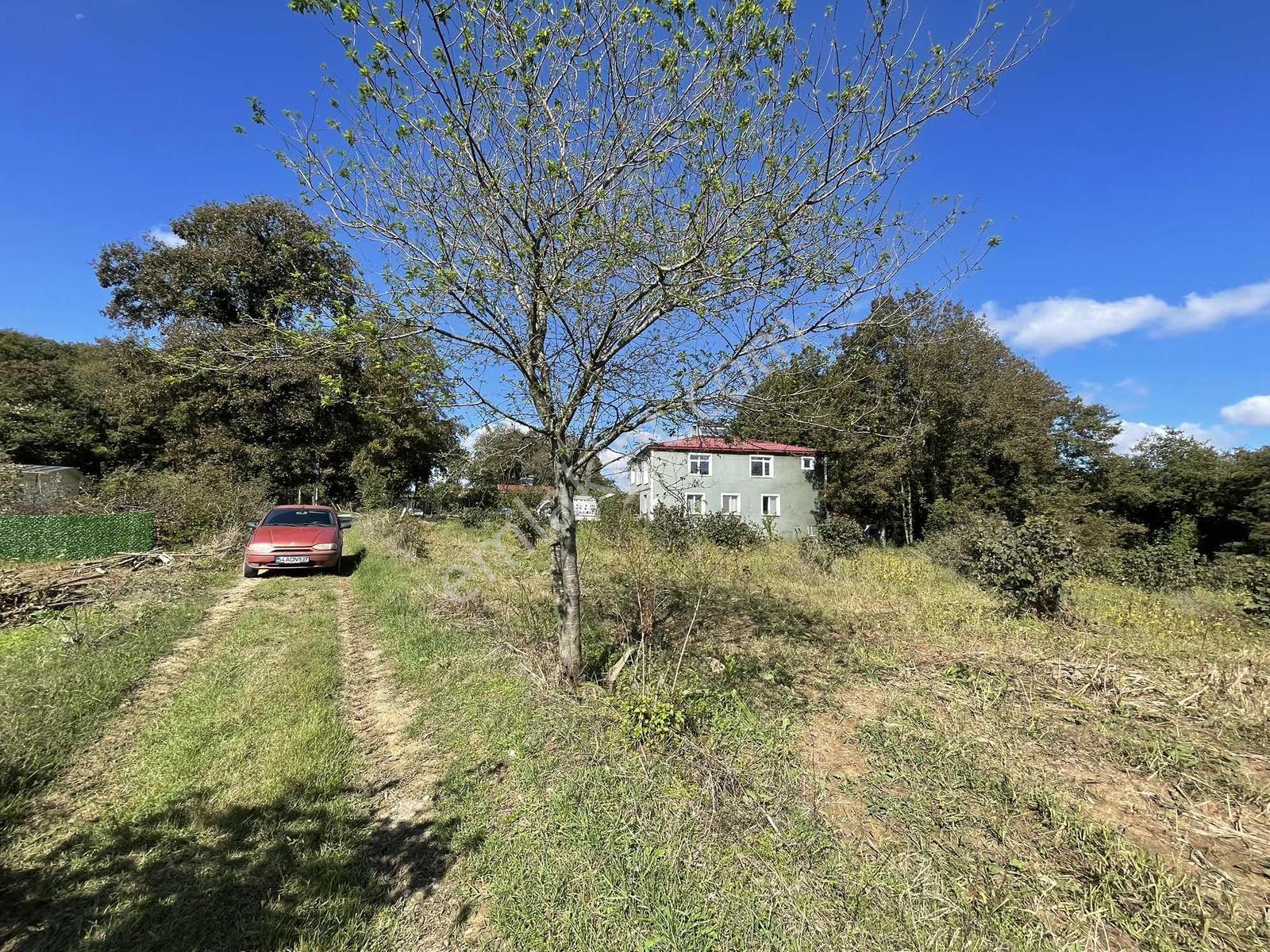 Kaynarca Kayacıkta 805m2 Resmi Yollu Fırsat — fotoğraf 27