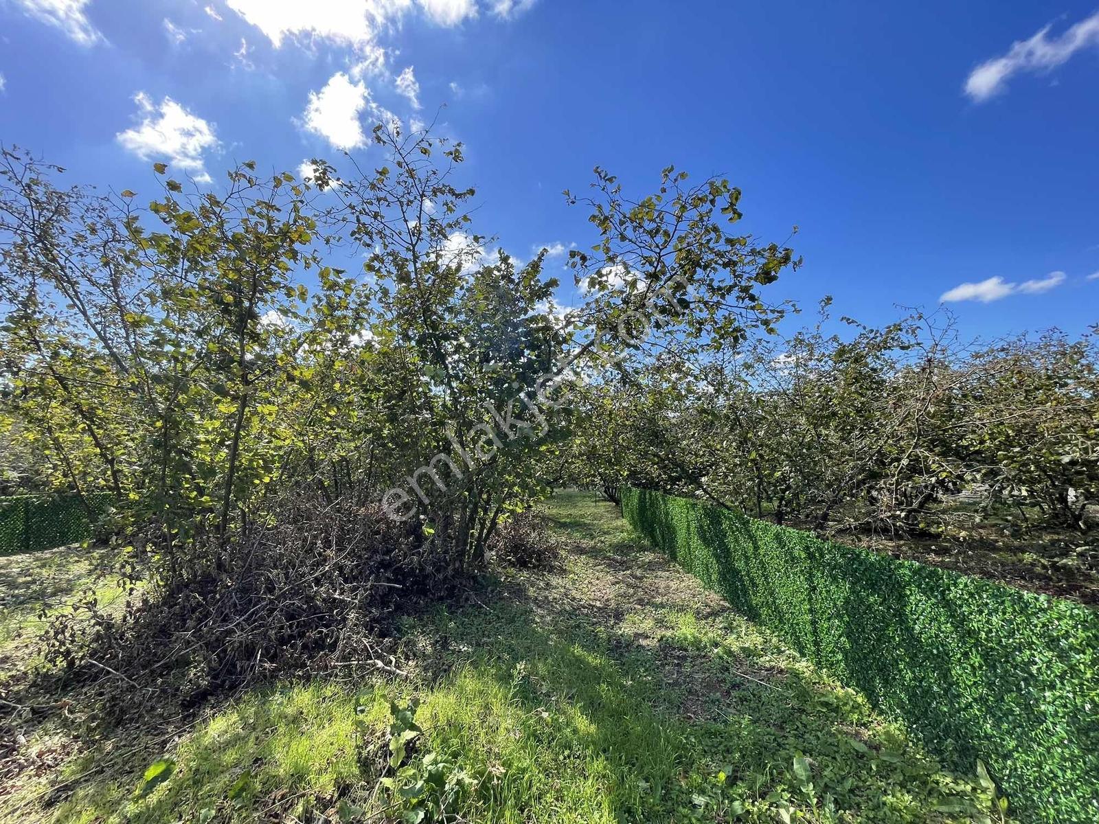 Kaynarca Kayacıkta 805m2 Resmi Yollu Fırsat — fotoğraf 29