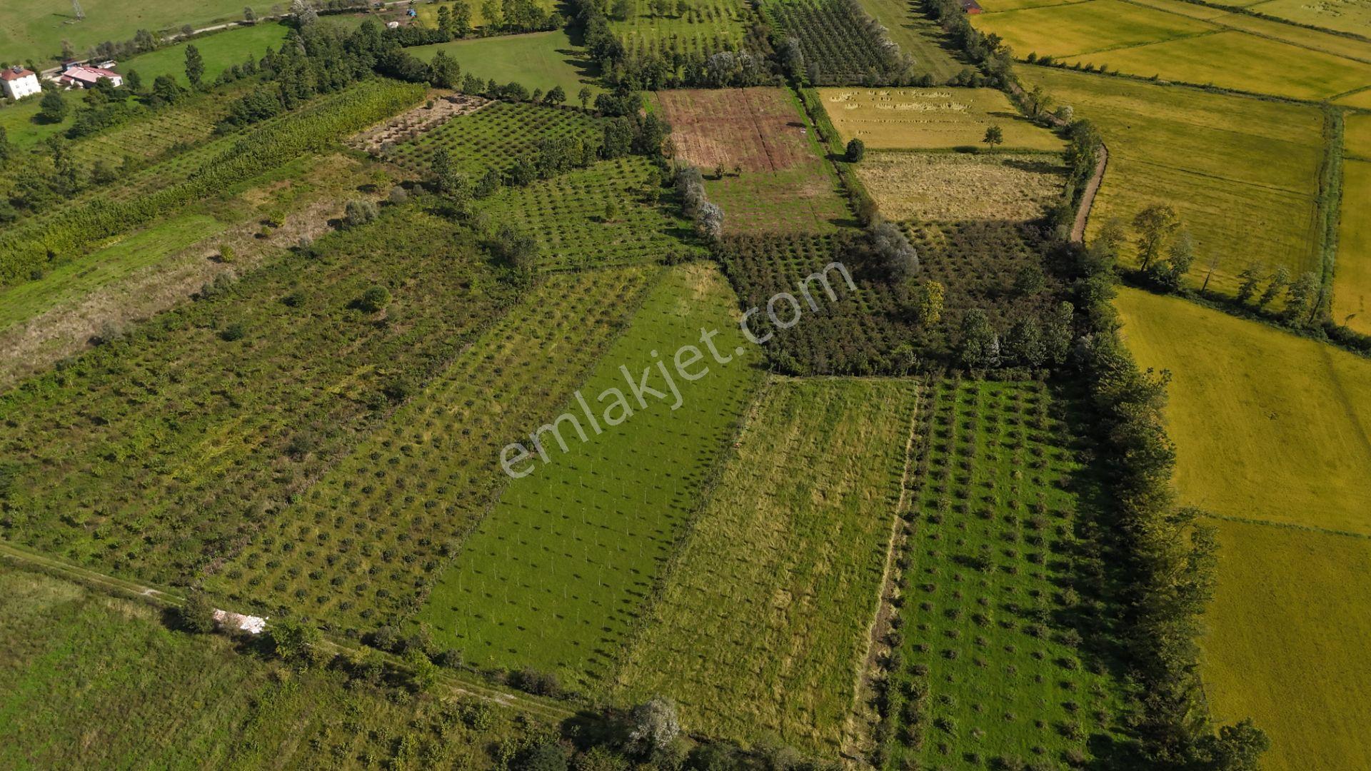Lerox Uçar'dan Ahmetbey Mh Yatırımlık Fırsat — fotoğraf 3