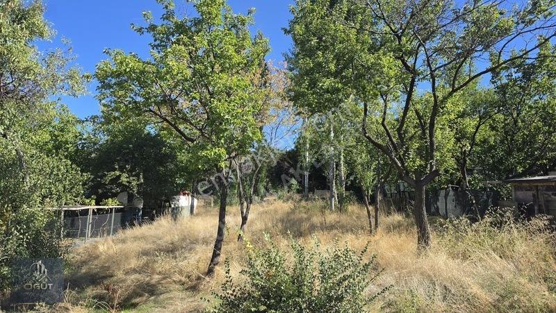 Lalahan Merkezde İçinde Yetişmiş Ağaçları Olan Hizmet Önünde Ars — fotoğraf 3