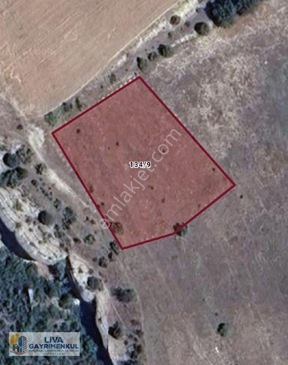 Liva Gayrimenkul'Den Aşağıçiflik Köyü 1.500 M2 Satılık Arsa