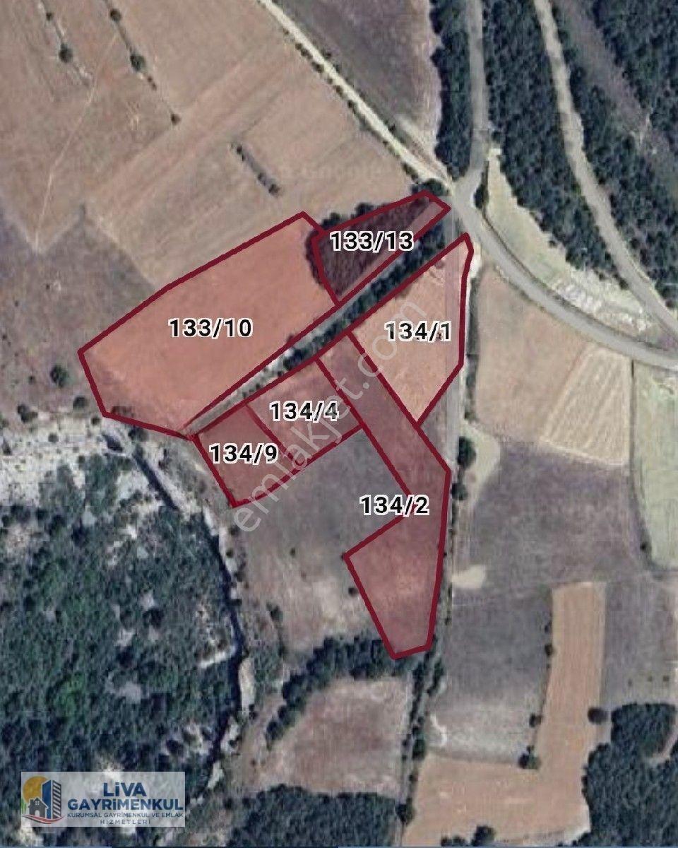 Liva Gayrimenkul'den Aşağıçiflik Köyü 1.500 M2 Satılık Arsa — fotoğraf 4