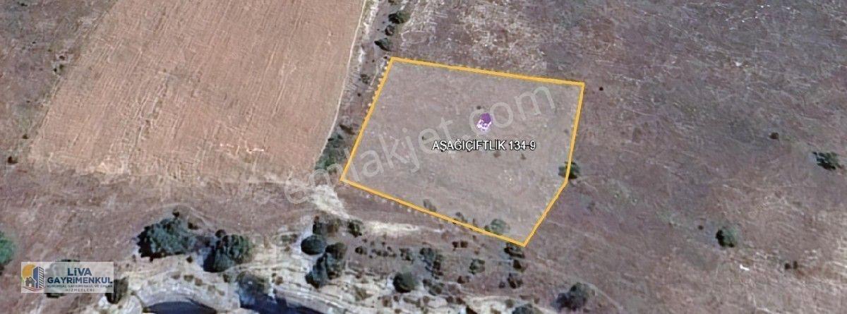 Liva Gayrimenkul'den Aşağıçiflik Köyü 1.500 M2 Satılık Arsa — fotoğraf 5