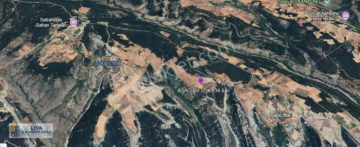 Liva Gayrimenkul'den Aşağıçiflik Köyü 1.500 M2 Satılık Arsa — fotoğraf 6