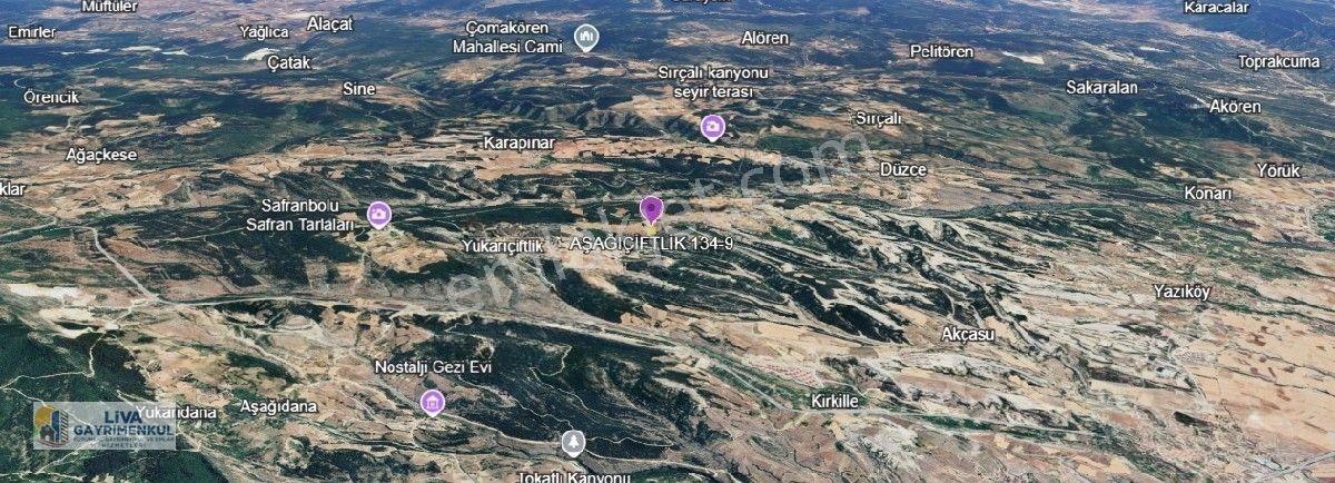 Liva Gayrimenkul'den Aşağıçiflik Köyü 1.500 M2 Satılık Arsa — fotoğraf 7