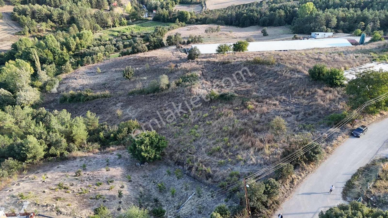 Sakarya Taraklı Aksu Asfalt Kenarı 7 Dönüm Çiftlik Arazisi — fotoğraf 7