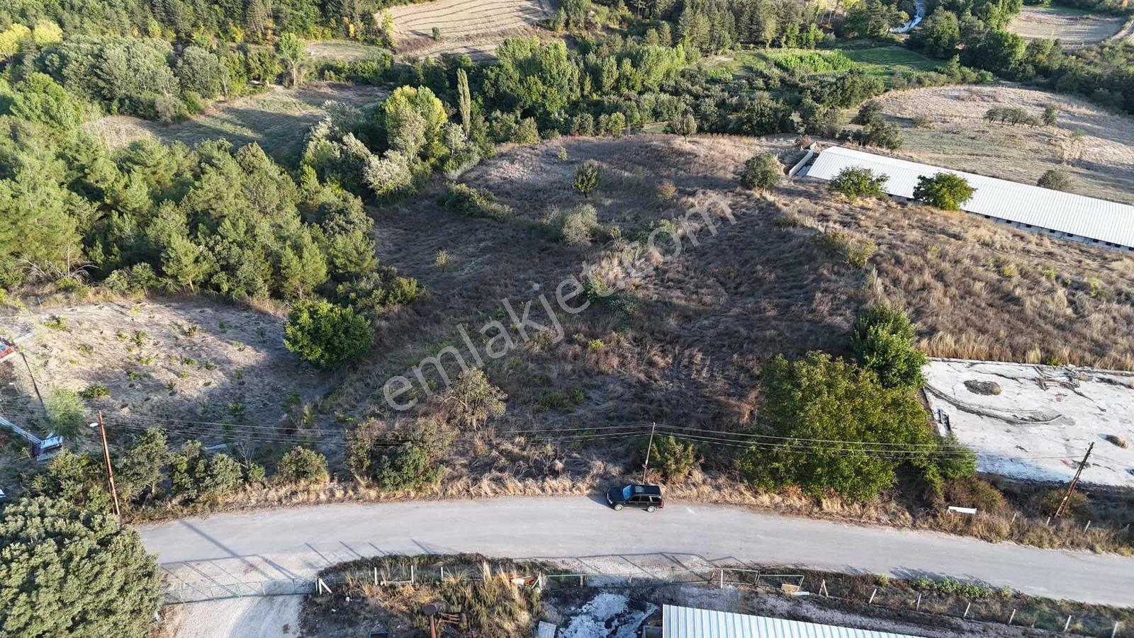 Sakarya Taraklı Aksu Asfalt Kenarı 7 Dönüm Çiftlik Arazisi — fotoğraf 8