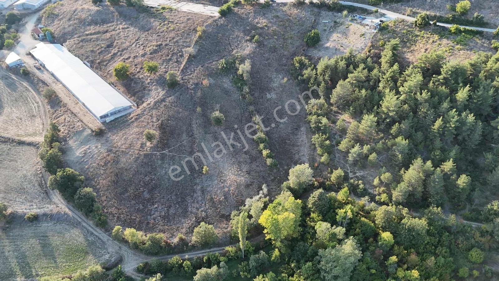 Sakarya Taraklı Aksu Asfalt Kenarı 7 Dönüm Çiftlik Arazisi — fotoğraf 15