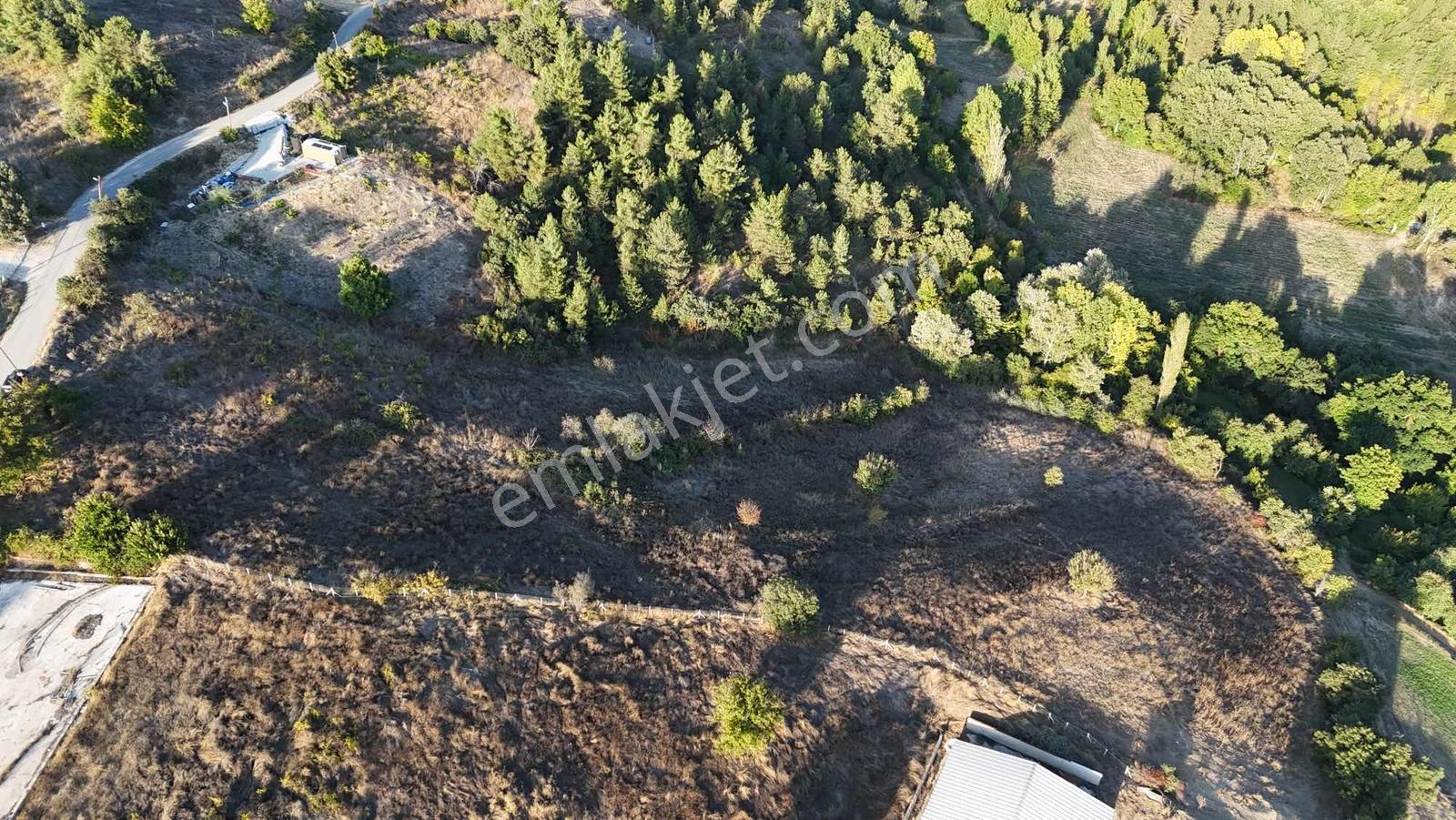 Sakarya Taraklı Aksu Asfalt Kenarı 7 Dönüm Çiftlik Arazisi — fotoğraf 19