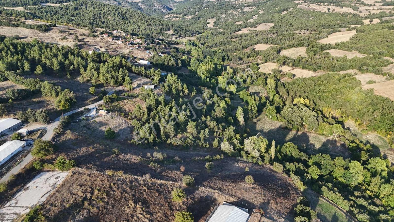 Sakarya Taraklı Aksu Asfalt Kenarı 7 Dönüm Çiftlik Arazisi — fotoğraf 21
