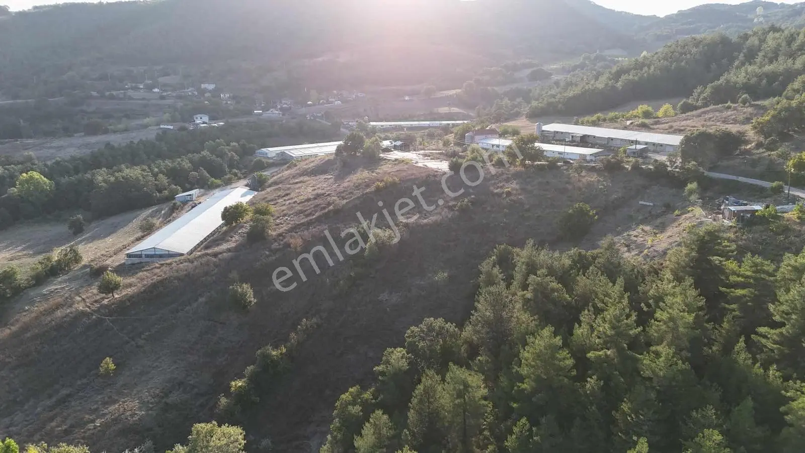 Sakarya Taraklı Aksu Asfalt Kenarı 7 Dönüm Çiftlik Arazisi — fotoğraf 22