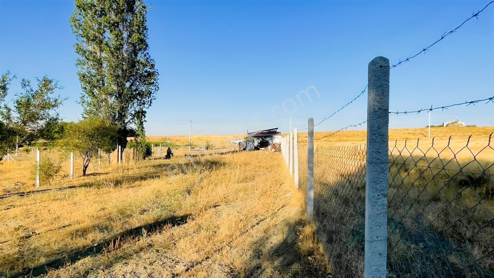 Meram - Karadiğin 3.371 M2 Bahçe Ve Evi Müstakil Tapulu — fotoğraf 6