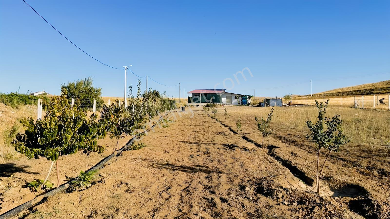 Meram - Karadiğin 3.371 M2 Bahçe Ve Evi Müstakil Tapulu — fotoğraf 18