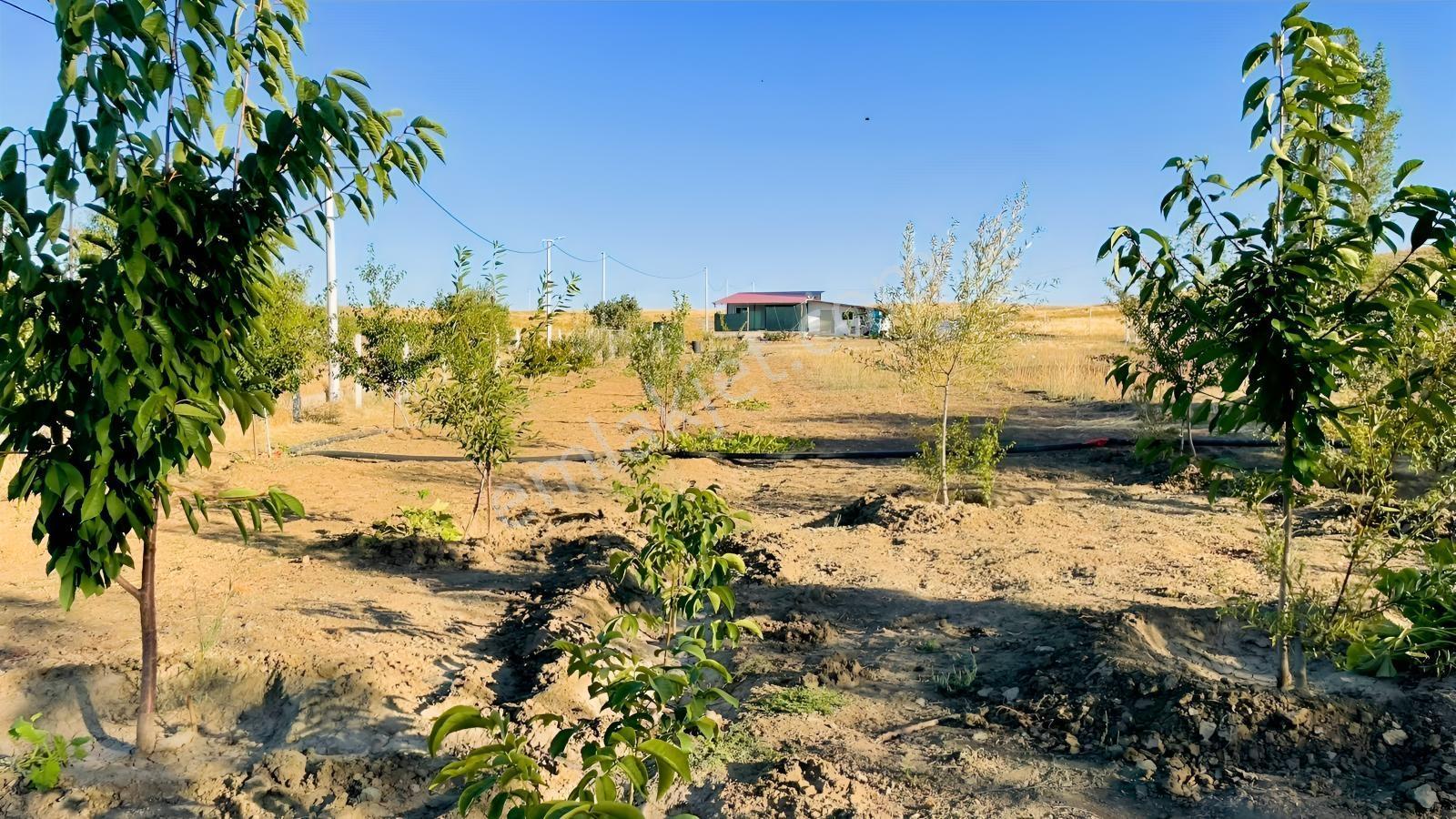 Meram - Karadiğin 3.371 M2 Bahçe Ve Evi Müstakil Tapulu — fotoğraf 21