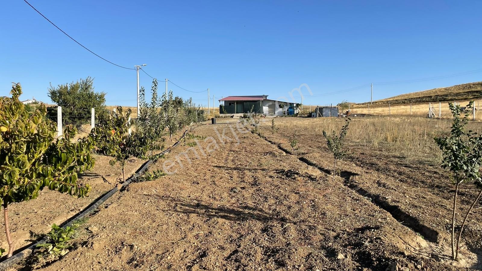 Meram - Karadiğin 3.371 M2 Bahçe Ve Evi Müstakil Tapulu — fotoğraf 22
