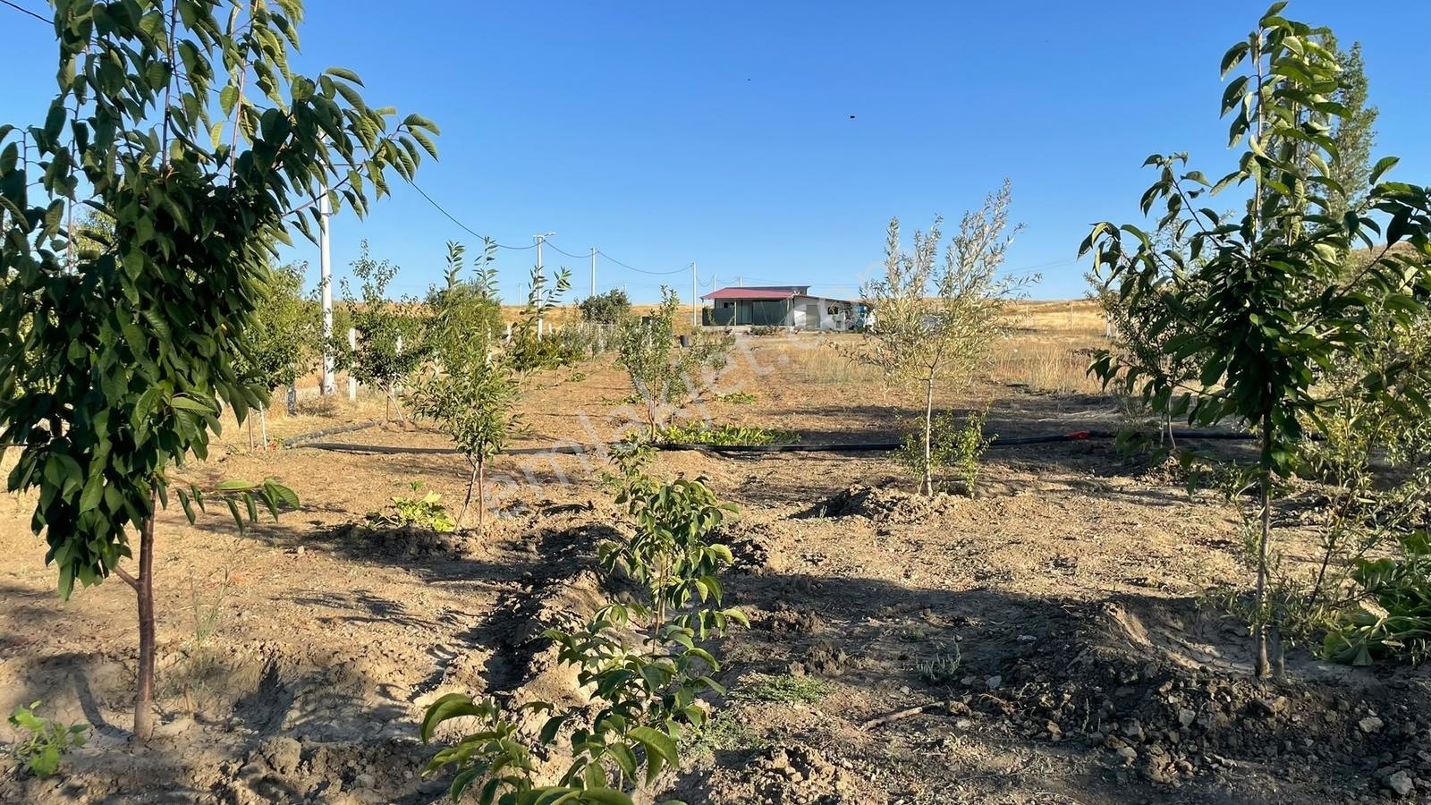 Meram - Karadiğin 3.371 M2 Bahçe Ve Evi Müstakil Tapulu — fotoğraf 28