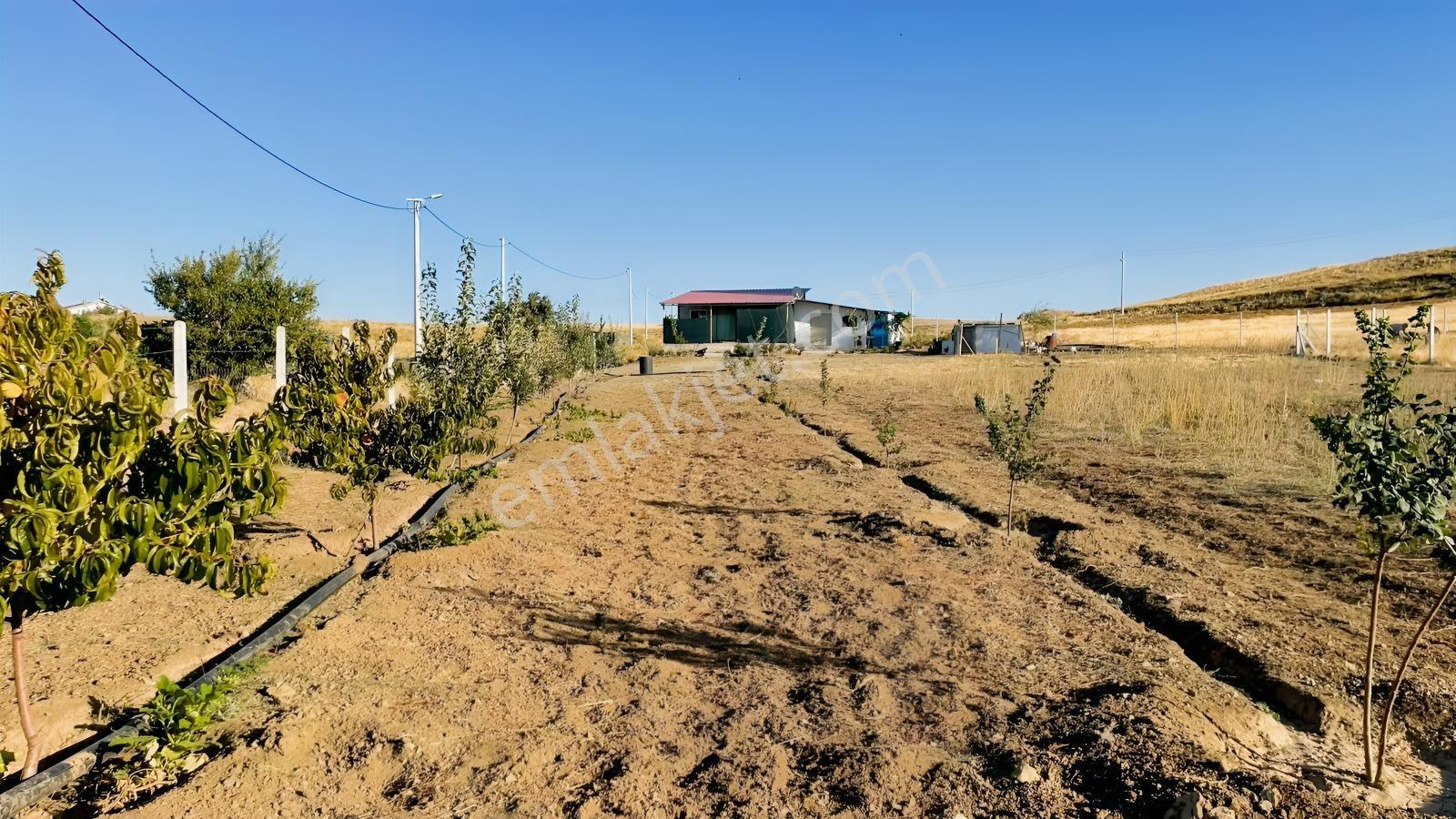 Meram - Karadiğin 3.371 M2 Bahçe Ve Evi Müstakil Tapulu — fotoğraf 29