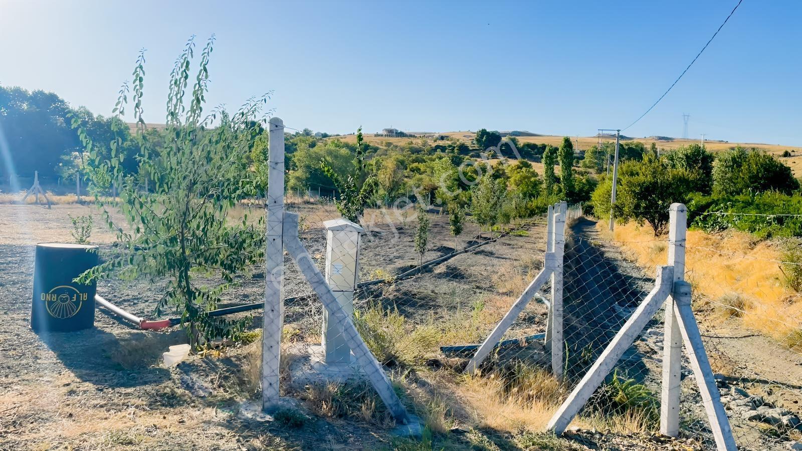 Meram - Karadiğin 3.371 M2 Bahçe Ve Evi Müstakil Tapulu — fotoğraf 30
