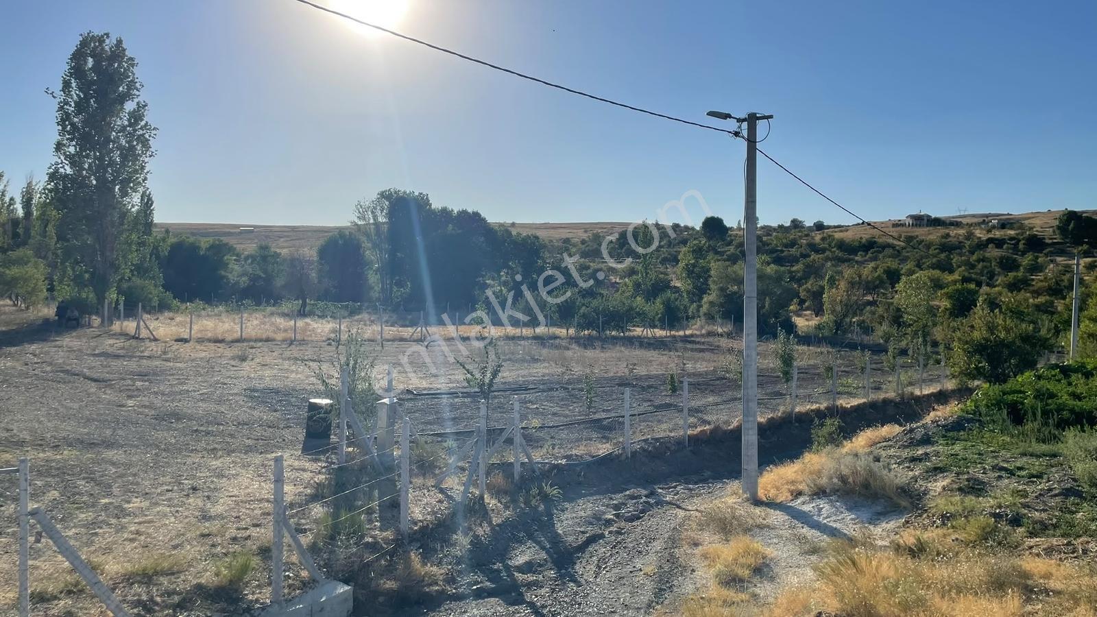 Meram - Karadiğin 3.371 M2 Bahçe Ve Evi Müstakil Tapulu — fotoğraf 31